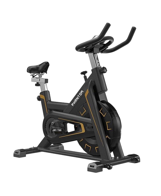 Black and Gold Spin Bike