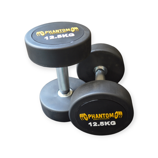 Round Dumbbells 12.5kg (Pair)